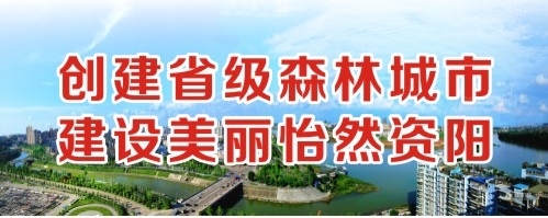 插小萝莉破处粉嫩小穴影院创建省级森林城市 建设美丽怡然资阳